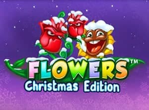 Flowers Christmas